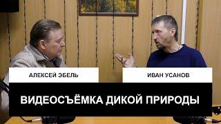 Гражданин натуралист: Алексей Эбель и Иван Усанов о видеосъёмке дикой природы