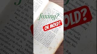 Is my book DANGEROUS? (Foxing vs Mold)