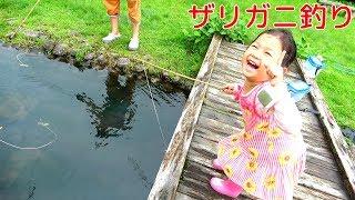 入れ食い状態！？ザリガニ釣りでママが大騒ぎｗｗ himawari-CH