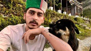 काश आज हम साथ होते|| Himachali lifestyle vlog||Himachal wala||