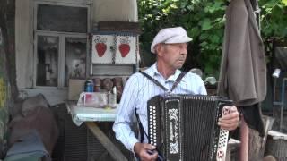 Гармонь. Драгунка. Литвинов Николай Фёдорович. Tradition. בציר