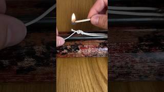 The ONLY Loop Knot You Need For Spearfishing