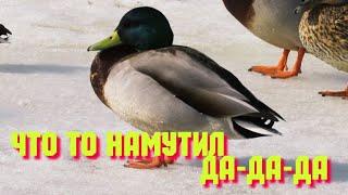 НОВОКУЗНЕЦК‍️че-то намутил да-да-да останься