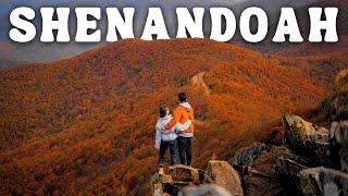 BEST FALL PLACES TO VISIT in Shenandoah National Park | Fall Foliage Road Trip Ep. 3