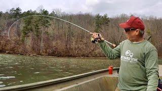 AMAZING Jig & Bobber Setup! ACTION PACKED Crappie Fishing!