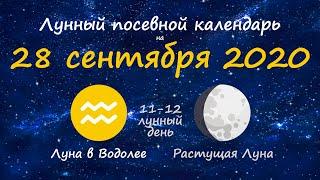 [28 сентября 2020] Лунный посевной календарь огородника-садовода