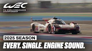 Every. Single. Engine Sound.  I 2025 Qatar 1812 KM I FIA WEC