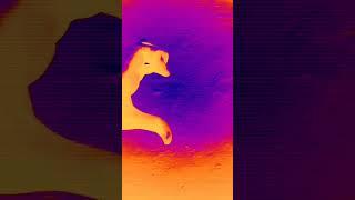 how is it #comment sub️ sjh channel 