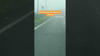 Embracing the Mystical Journey #viral #foggyweather #youtubeshorts #shorts #rainydayadventures