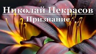 Николай Некрасов - Признание