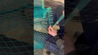 #fishingnet  #dalmatia #croatia #ribarskemreže #jagla