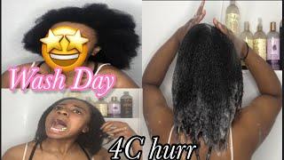 Wash Day Routine For My 4c Naps Purr | Vibequeeen !