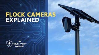 The Impact of Flock Cameras on Privacy and Policing: A Conversation with Attorney Stephanie Lindsey