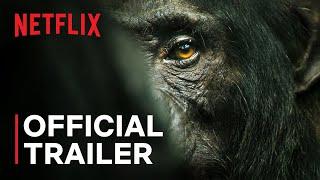 Chimp Empire | Mahershala Ali | Official Trailer | Netflix