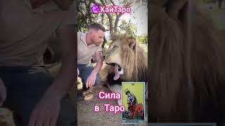  Сила в Таро