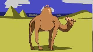 The Straw that broke the Camel's Back | Funny Animation