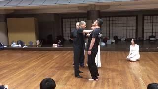 Mikhail & Daniil Ryabko  Systema Japan Systema Mastery Seminar 3 Special Class 28th May 2018 Clip 8