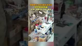 泰國一野生大象淩晨闖進商店，狂吃零食和雞蛋，吃到心滿意足後才自行離開#搞笑 #生活 #shorts