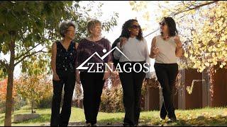 Zenagos Small Business Consulting Story