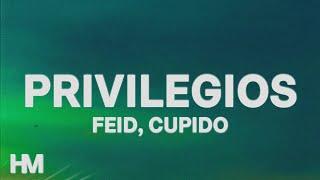 Feid, Cupido - Privilegios (Letra/Lyrics) || MOR, No Le Temas A La Oscuridad