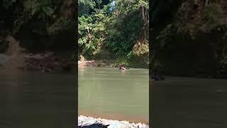 Mancing di sungai sambil nonton Si Bocil mandi || Sungai Kelingi