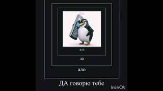 ало Серёга? а Серёга где? прикол