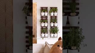 MY DIY INDOOR HERB GARDEN! 🪴