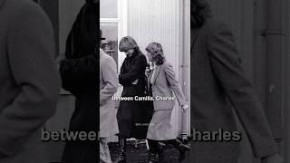 What did Princess Diana say to Camilla #princessdiana #royal #royalfamily #princewilliam