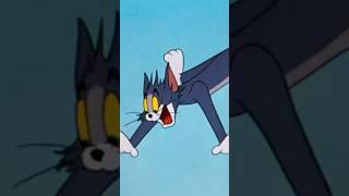  Tom & Jerry | Funniest Moments Compilation  | HD Cartoon Classics 