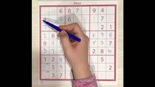 How To Play Sudoku for Beginners