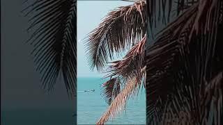 Arambol  #music #vlog
