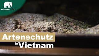 Artenschutz, des Kölner Zoos, in Vietnam | Erklärt von Prof. Dr. Thomas Ziegler