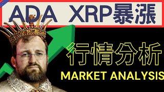 ADA XRP瘋漲 還有哪些山寨幣可以買 買愛達變阿達? ADA XRP技術分析 | 2024/11/23