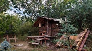 Building a shelter in the woods, Sleeping alone in the middle of nowhere