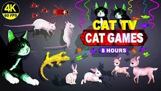 CAT GAMES | THE MOST FAVORITE CAT TV COMPLATION FOR CATS TO WATCH | BEST VIDEOS FOR CATS | 