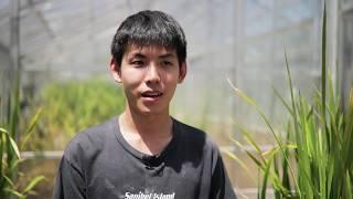 Meet Gong, he studies Agricultural Biotechnology at UQ