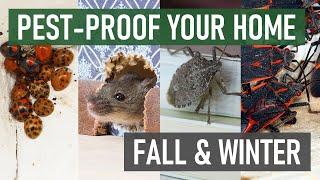 Pest-Proof Your Home This Fall & Winter (Stop Rodents & Overwintering Insects!)