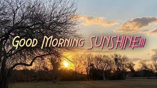 Good morning  SUNSHINE ️!||#shorts