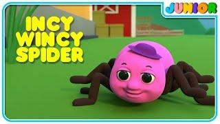 Itsy Bitsy Spider | Incy Wincy Spider | 3D Nursery Rhymes & Animal Songs @nurseryrhymesjunior