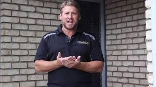 Carry out a Termite Inspection like a Professional | TermiGold | Tips & Tricks