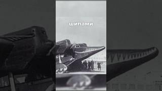 БОМБАРДИРО-КРОКОДИЛО реально СУЩЕСТВУЕТ.