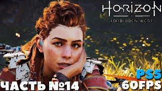 (PS5) Horizon Forbidden West(Запретный Запад) - Прохождение. Часть №14.