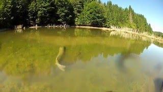 Monster Pike Jumps by Nature Freakz