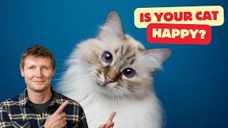 Is YOUR Cat Happy? Here's how to tell!