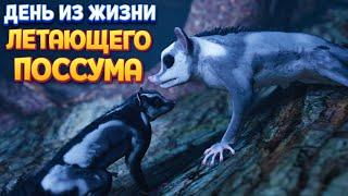 ДЕНЬ ИЗ ЖИЗНИ ЛЕТАЮЩЕГО ПОССУМА ( AWAY: The Survival Series )