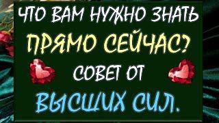  ЧТО ВАМ НУЖНО ЗНАТЬ ПРЯМО СЕЙЧАС?  СОВЕТ ОТ ВЫСШИХ СИЛ  Tarot Diamond Dream Таро