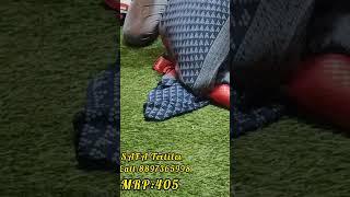 saree tales,saree,indian sarees,wedding sarees,sarees sale,sarees,temple sarees,wholesale sarees
