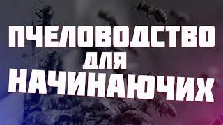 Как завести пчел с нуля?пчеловодство для начинающих.Где взять пчел?Элементарные советы с чего начать