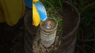 Genius IDEA for survival in the wild #bushcraft #camping #lifehacks