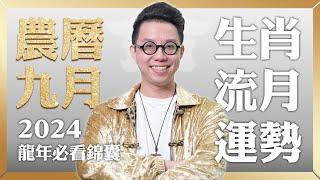 2024農曆九月(10/3~10/31)【十二生肖運勢】命理大師 簡少年